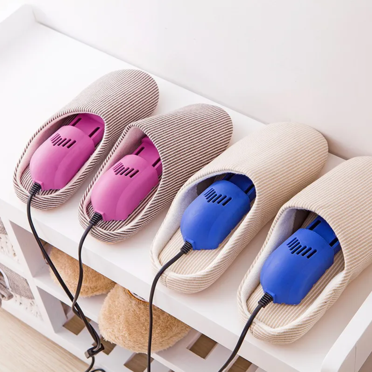 shoes and insoles dryer